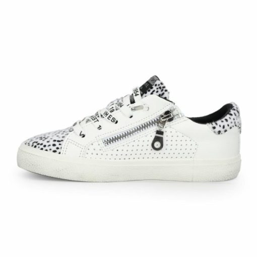 Fashionkitx.shop6d2dae5070 3